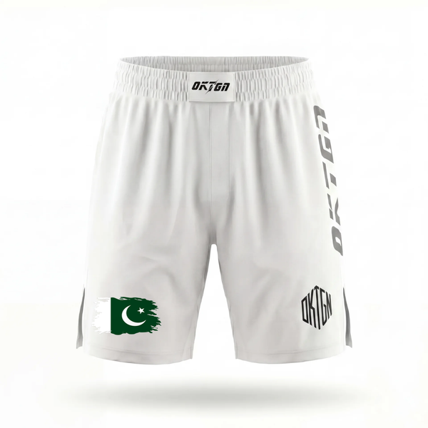 Breve presentación de Pakistán