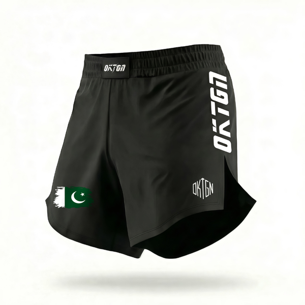 Breve presentación de Pakistán